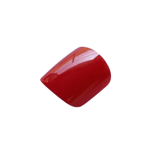Rot