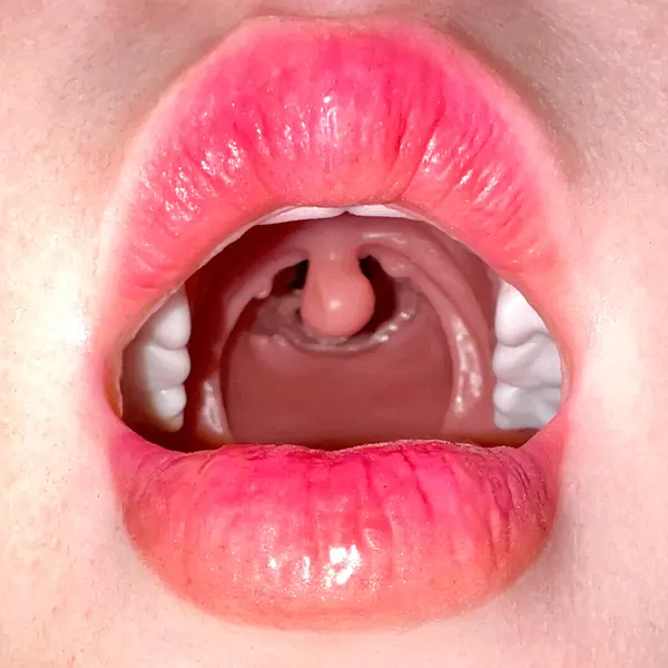 Kopf mit realistischer Oralfunktion