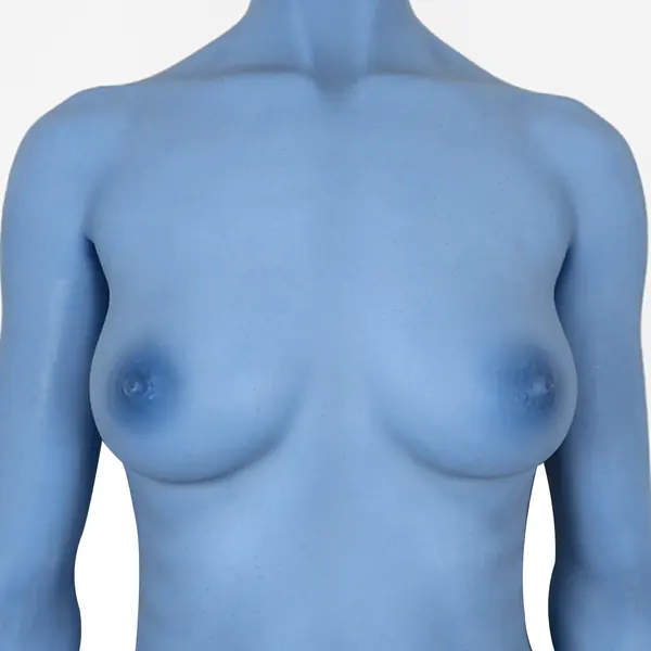 CLM Blau