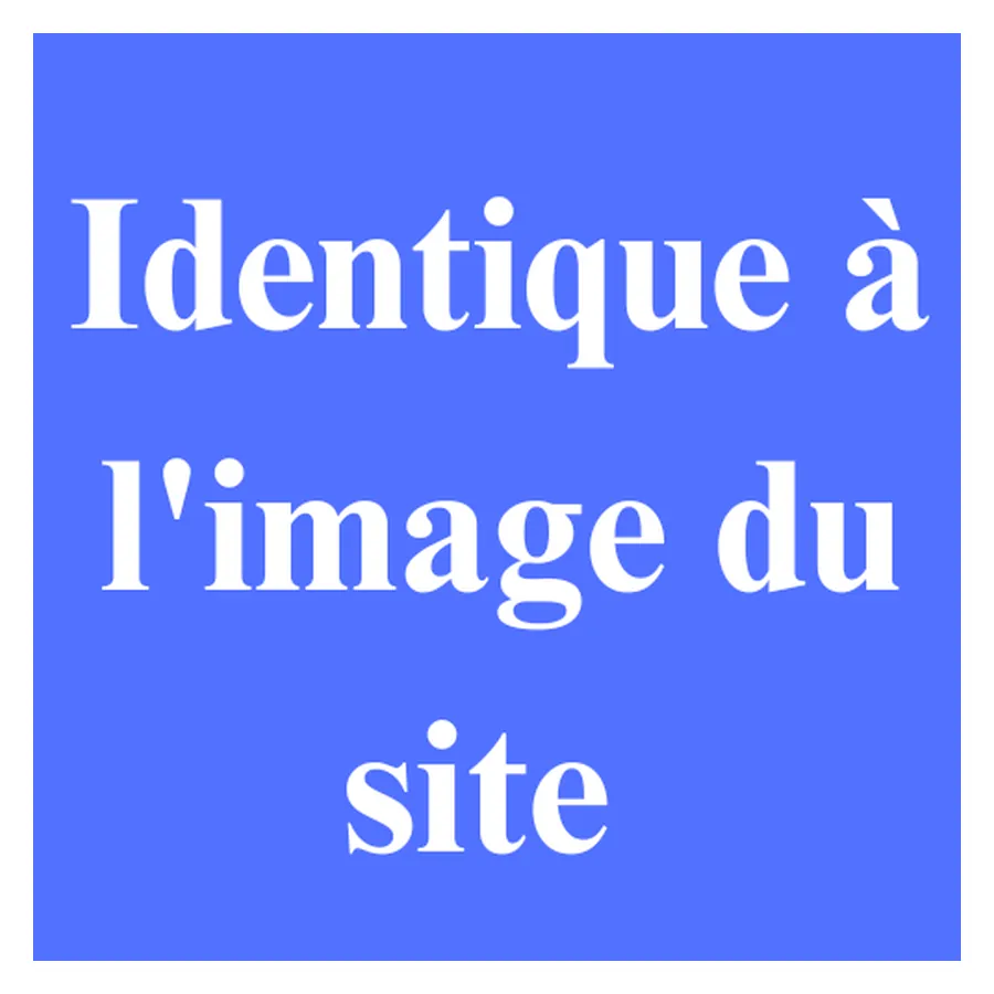 Identique aux photos du produit